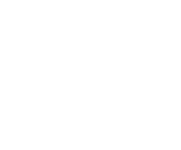 Magento-image