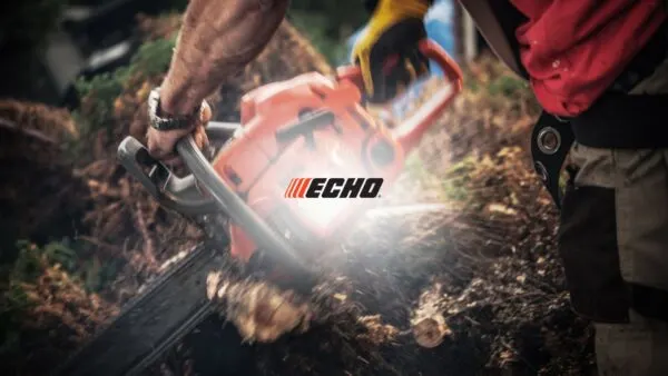 Echo-image