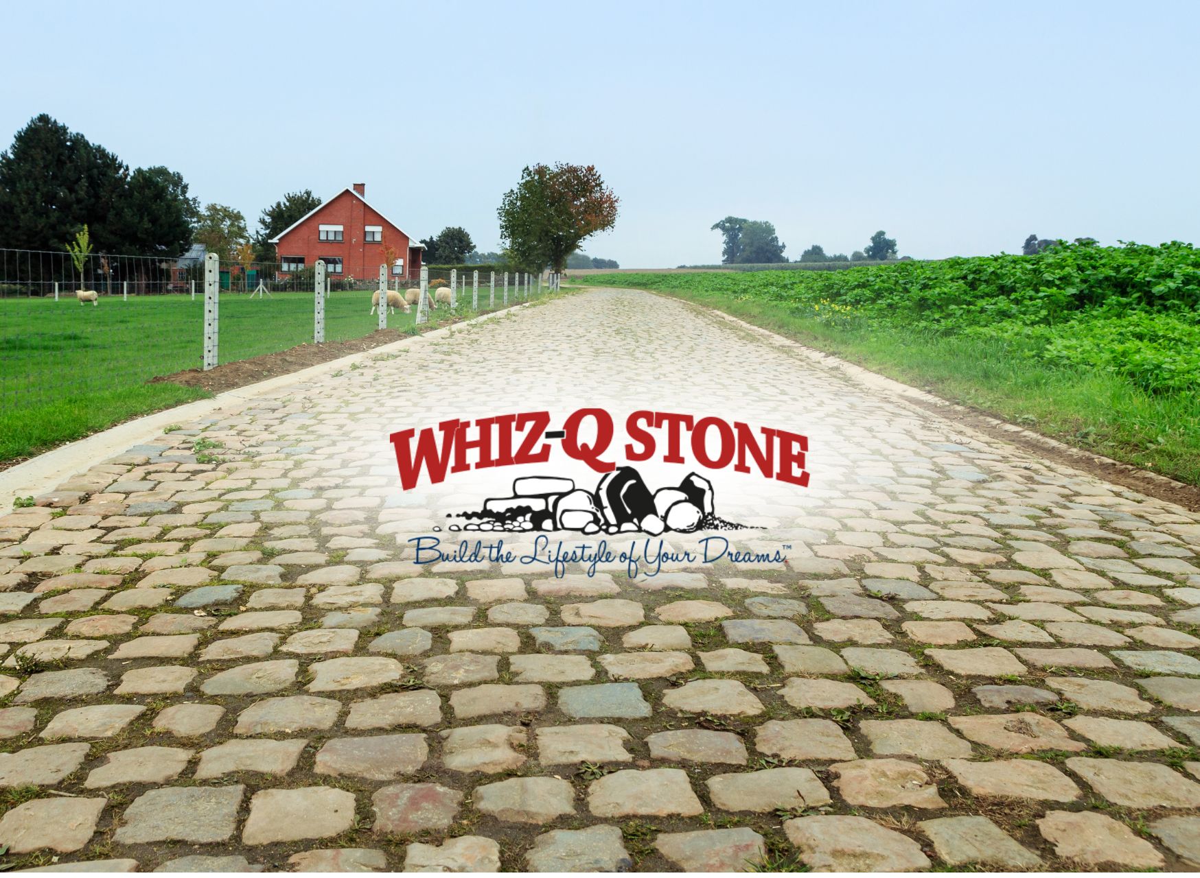 Whiz Q Stone